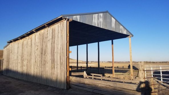 Montana Dream Property With Unlimited Options on 48+ Acres In Sidney: 12353 County Rd 348, Sidney, MT 59270